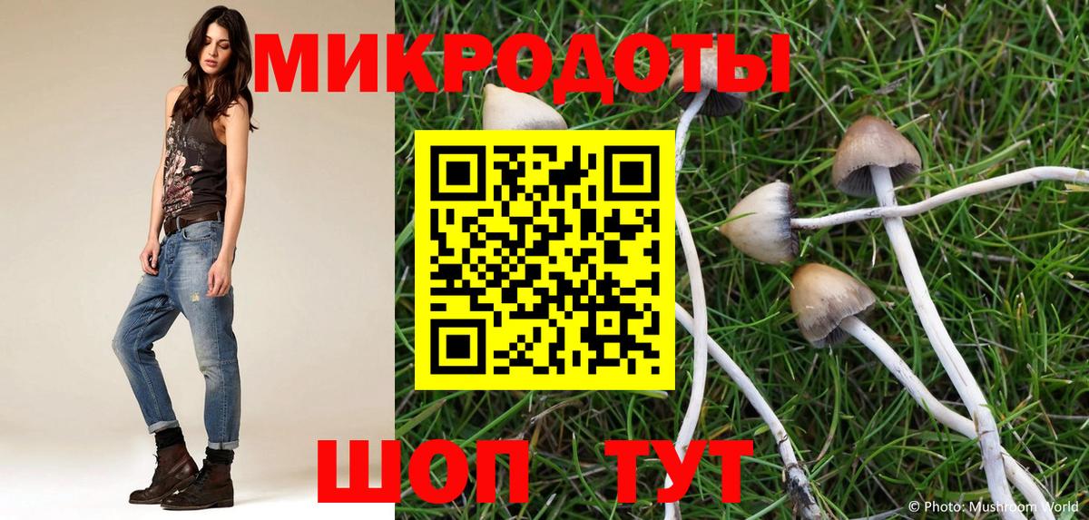 Псилоцибиновые грибы Magic Shrooms Шадринск