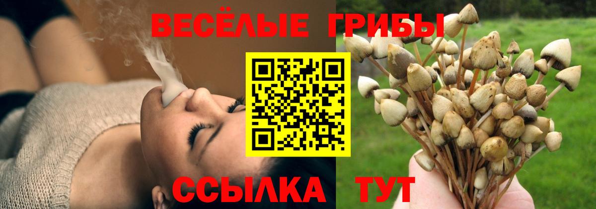 Галлюциногенные грибы ЛСД  Вход с VPN  Шадринск 
